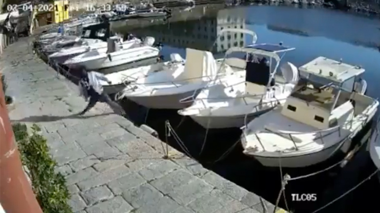 Γρήγορο κάρμα