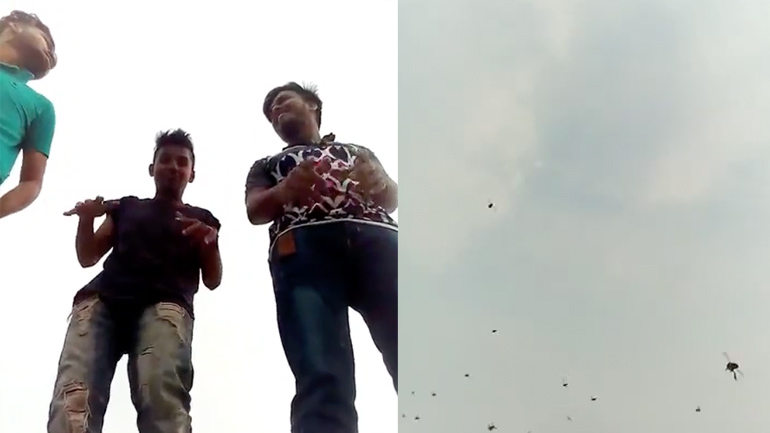 Pάπερ δέχεται επίθεση από σφήκες 