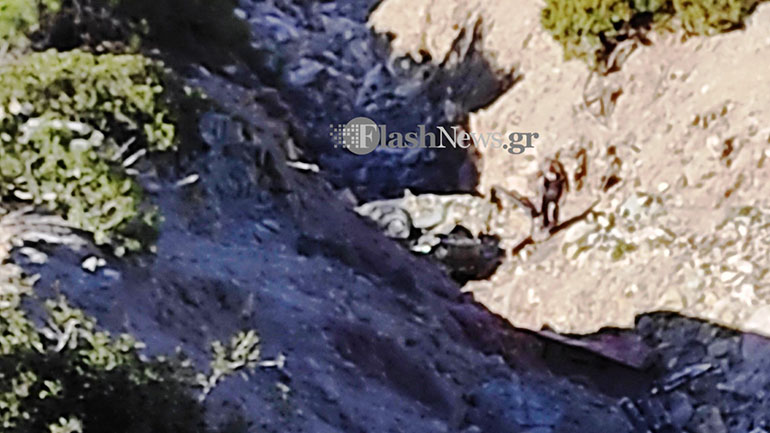 Τροχαίο δυστύχημα στη Γαύδο – Νεκρή μια γυναίκα, στο νοσοκομείο ο άνδρας Τροχαίο δυστύχημα στη Γαύδο – Νεκρή μια γυναίκα, στο νοσοκομείο ο άνδρας