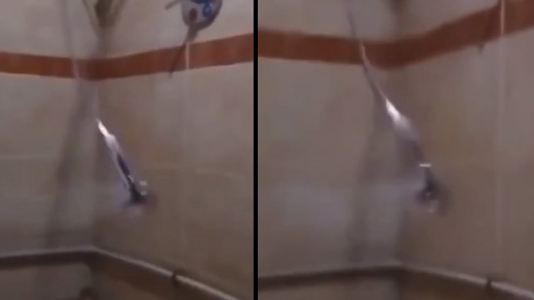 Το ατίθασο τηλέφωνο μπάνιου