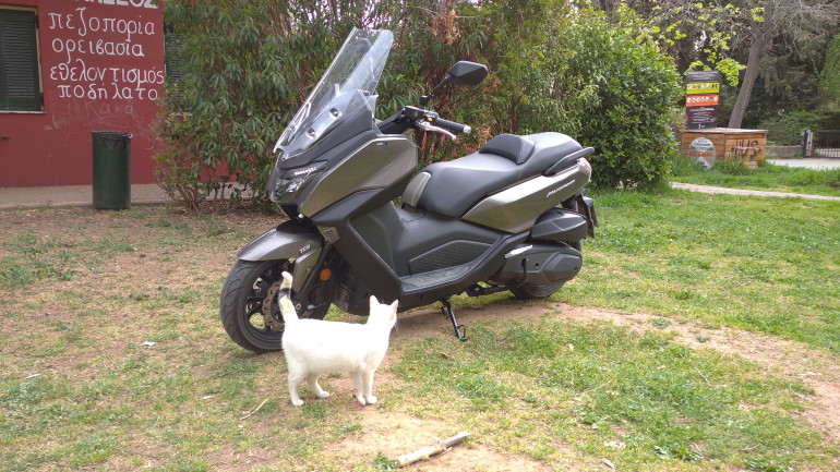 Ακόμα και η γάτα εντυπωσιάστηκε από το Maxsym 400i