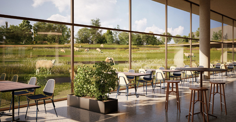 Η αρχιτεκτονική ακολουθεί το φυσικό περιβάλλον. 