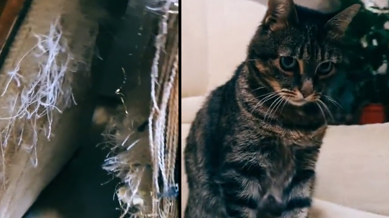 Ένα νέο σχέδιο στον καναπέ