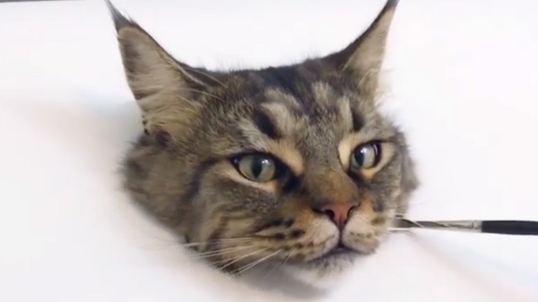 Τρισδιάστατο σχέδιο μιας γάτας