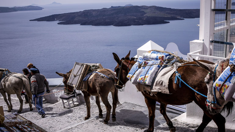 Οι φιλόζωοι στο ΥΠΑΑΤ για τα γουνοφόρα ζώα και τα γαϊδουράκια της Σαντορίνης