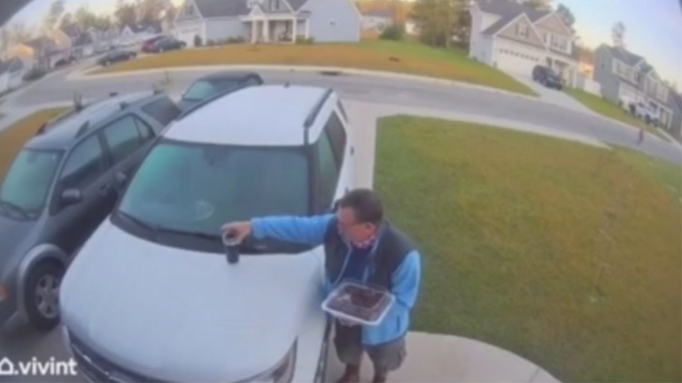 Λύγκας επιτίθεται σε γυναίκα