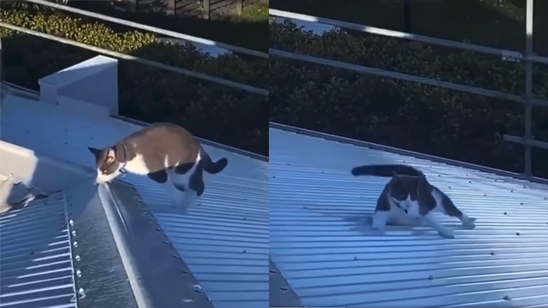 H οροφή είναι ολισθηρή!