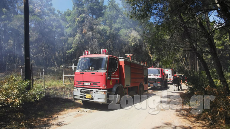 Υπό έλεγχο η φωτιά στη λεωφόρο Άνοιξης – Ενδείξεις για εμπρησμό