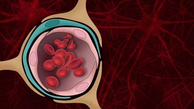 Τι πρέπει να ξέρετε για τον αιματοεγκεφαλικό φραγμό