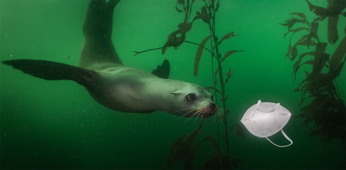 Η φωτογραφία της χρονιάς