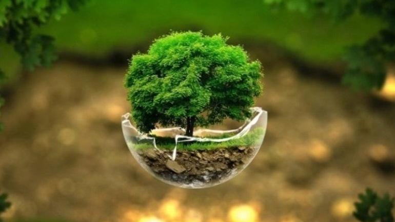 Παγκόσμια Ημέρα της Γης: Μόλις το 2,8% των οικοσυστημάτων του πλανήτη παραμένει ανέπαφο