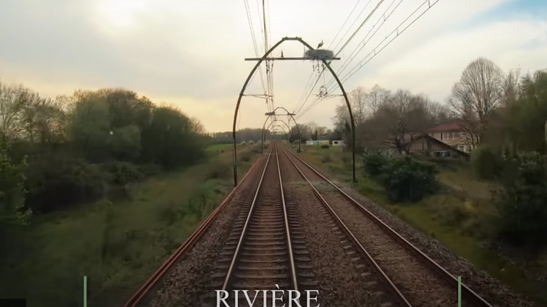 Φωλιές πελαργών πάνω από μια σιδηροδρομική γραμμή 