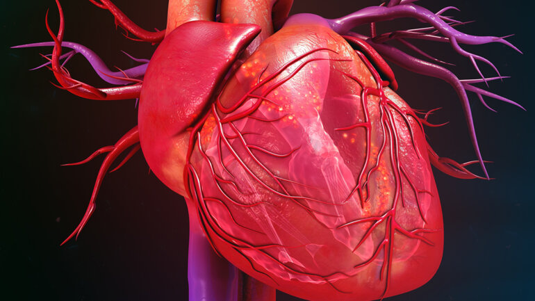 Τι πρέπει να ξέρετε για την υπερτροφική καρδιομυοπάθεια