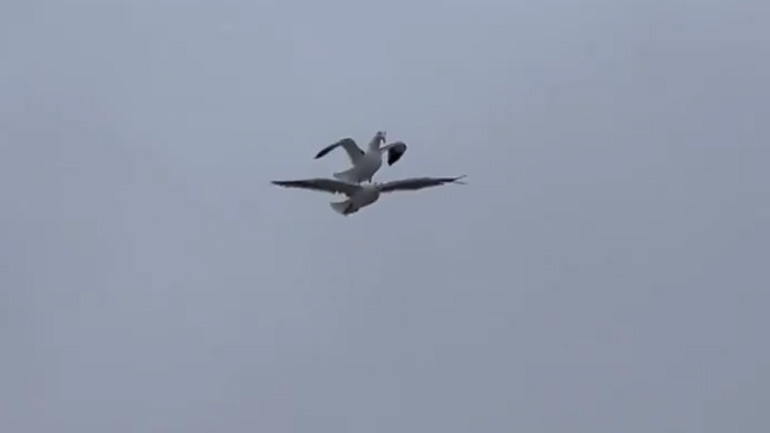 Με πετάς εδώ δίπλα;