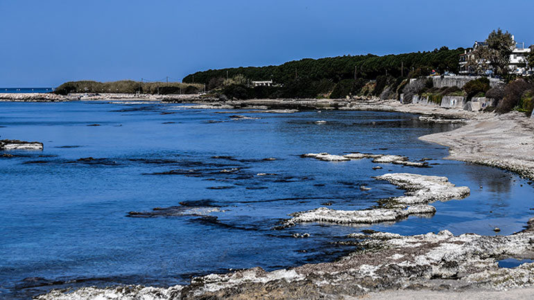 Οικολογική πρωτοβουλία για την προστασία των θαλασσών με αφετηρία τους Λειψούς