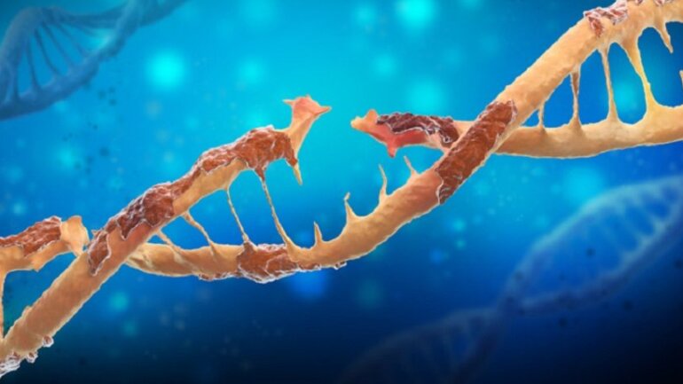 Κάποιες ελεύθερες ρίζες οξυγόνου προστατεύουν από τον καρκίνο