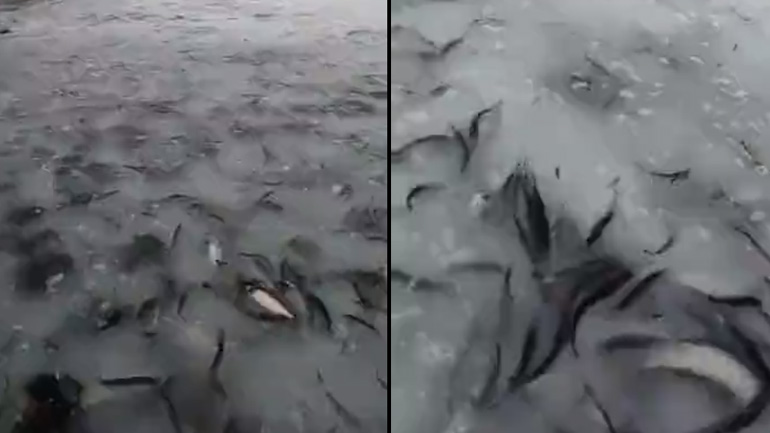 Ένας πανευτυχής ψαράς