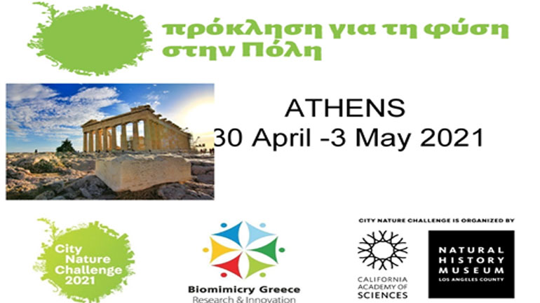 City Nature Challenge: Διεθνής επιστημονική πρωτοβουλία για τον εντοπισμό της βιοποικιλότητας στις πόλεις μας