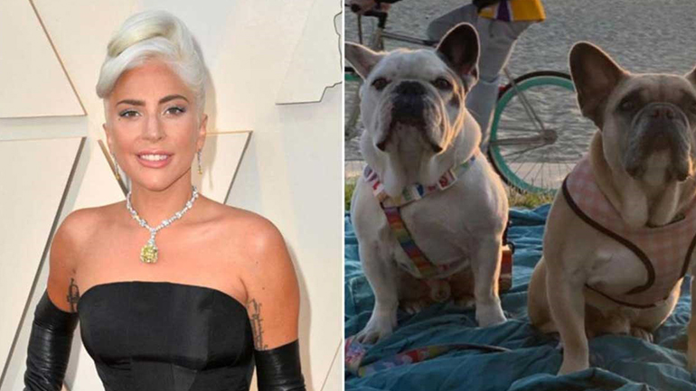 Lady Gaga: Βρέθηκαν και συνελήφθησαν οι απαγωγείς των σκυλιών της