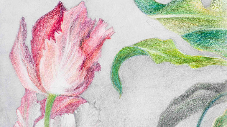 H γκαλερί “7” παρουσιάζει την ατομική έκθεση της  Εύης Θεοφανίδου με τίτλο : “BLOOMING TALES”