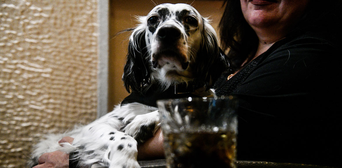 Στην υγειά μας