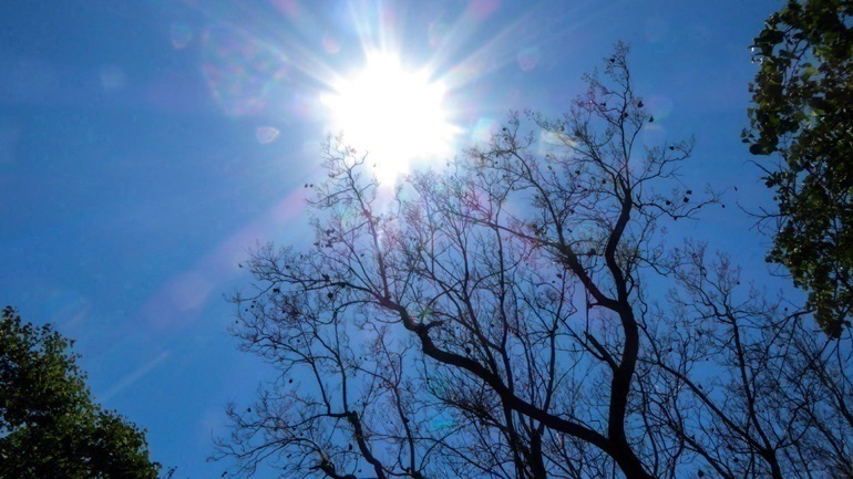 Ο καιρός σήμερα