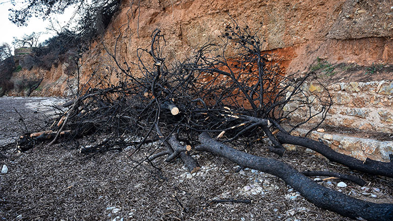 Στην τελική ευθεία η ανάκριση για το Μάτι – Γνώριζαν για τους νεκρούς από νωρίς