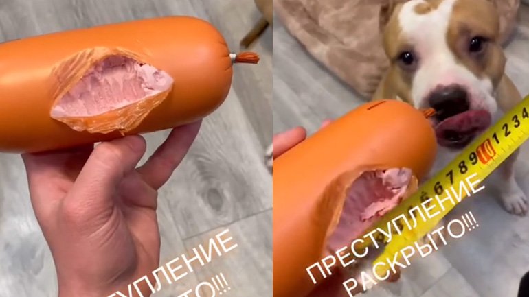 Διερεύνηση εγκλήματος 