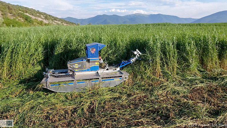 Μικρή Πρέσπα: Αμφίβιο όχημα στη… μάχη με τις καλαμιές