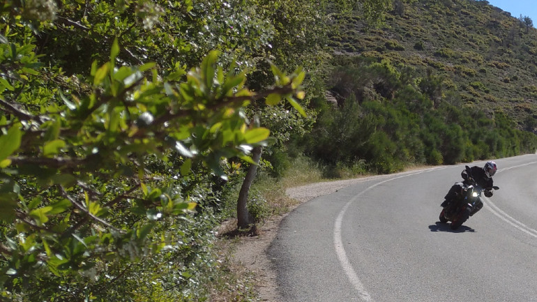 Απολαυστικό σε ότι και αν κάνεις μαζί του…