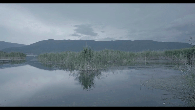 Το ντοκιμαντέρ «Πρέσπα – Σταγόνες υδάτινων κόσμων» στο Los Angeles Greek Film Festival