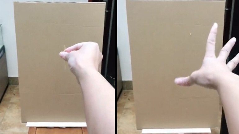 Νίντζα πετά μια oδοντογλυφίδα 