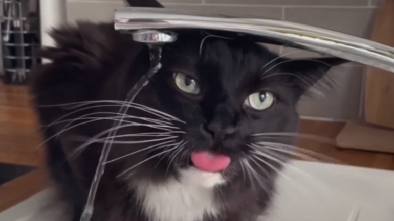 Γιατί δεν ξεδιψάω;