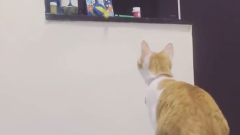 Μαμά, δεν φτάνω το παιχνίδι μου!