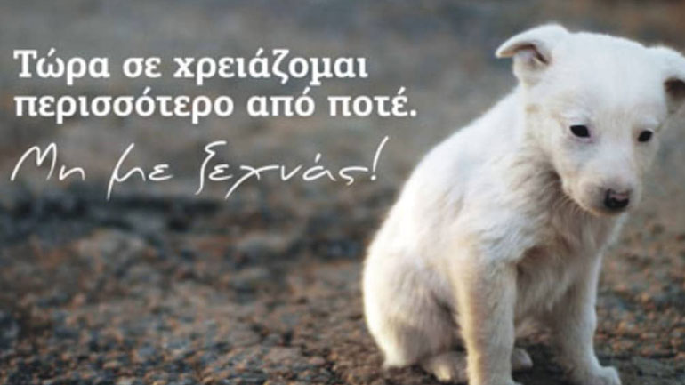 Νομοσχέδιο για τα ζώα: Η θέση της Πανελλαδικής Φιλοζωικής και Περιβαλλοντικής Ομοσπονδίας Νομοσχέδιο για τα ζώα: Η θέση της Πανελλαδικής Φιλοζωικής και Περιβαλλοντικής Ομοσπονδίας