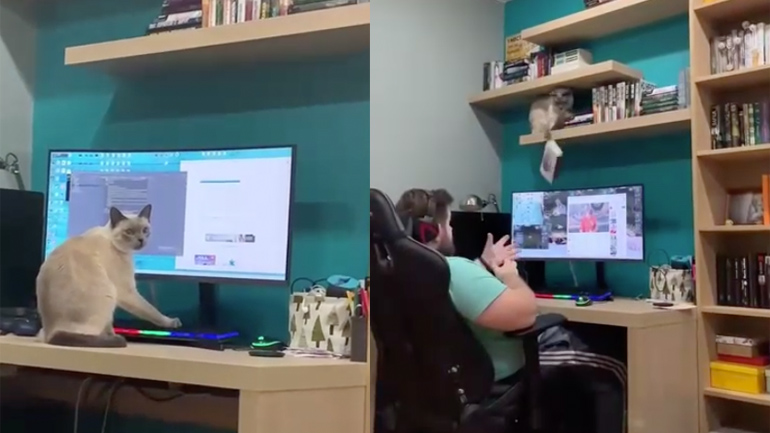 Δεν μου δίνετε σημασία; Κανένα πρόβλημα!