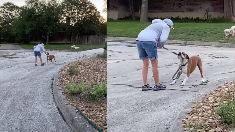 To μπόξερ θέλει να συνεχίσει τη βόλτα