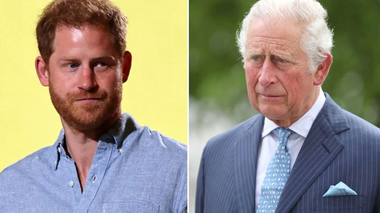 Οι νέες αποκαλύψεις του πρίγκιπα Harry για τη βασιλική οικογένεια: «Ένας κύκλος πόνου και ταλαιπωρίας»