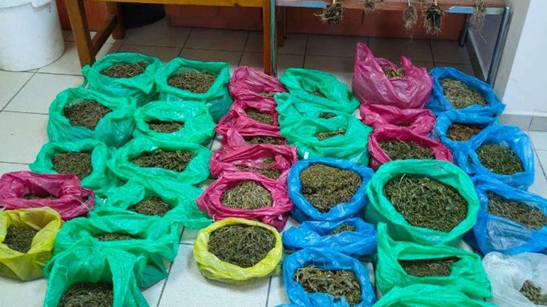 Σύλληψη 65χρονου για κατοχή και καλλιέργεια κάνναβης στη Θεσσαλονίκη