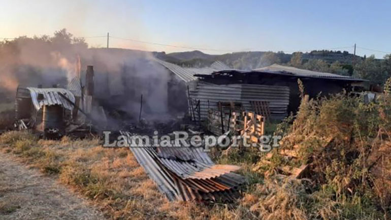Φθιώτιδα: Κάηκαν τα ζωντανά μαζί με τη στάνη