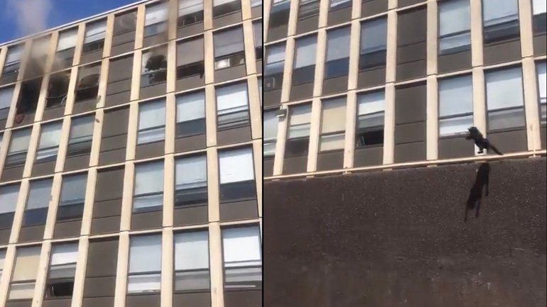 Γάτα πηδά από τον 4ο όροφο φλεγόμενου κτηρίου