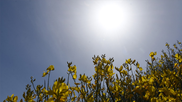 O καιρός σήμερα