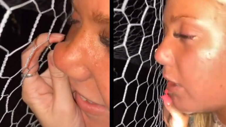 Κόλλησε το σκουλαρίκι στον φράχτη Κόλλησε το σκουλαρίκι στον φράχτη