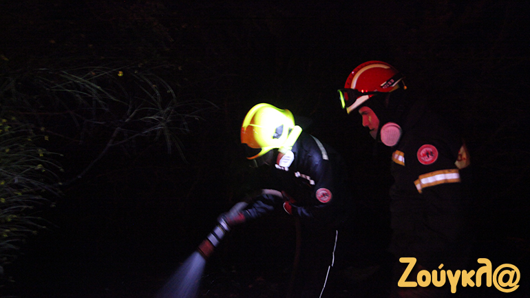 Φωτιά σε δασική έκταση στον Διόνυσο