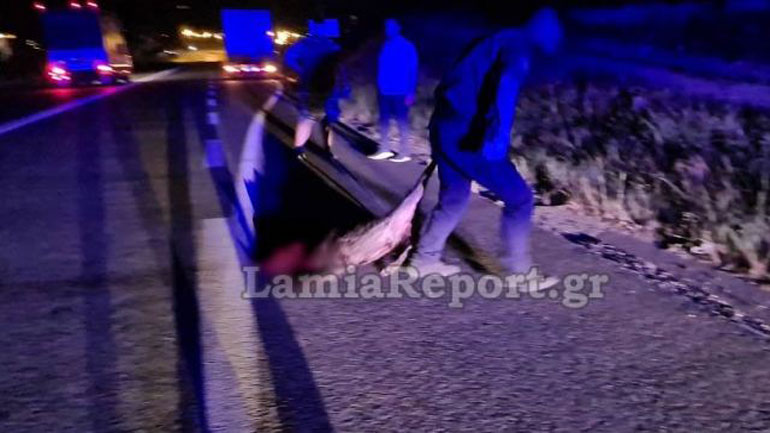 Λαμία: Κοπάδι από αγριογούρουνα προκάλεσε τροχαίο