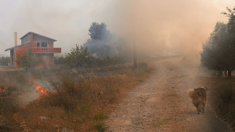 Πύρινη κόλαση στην Κορινθία