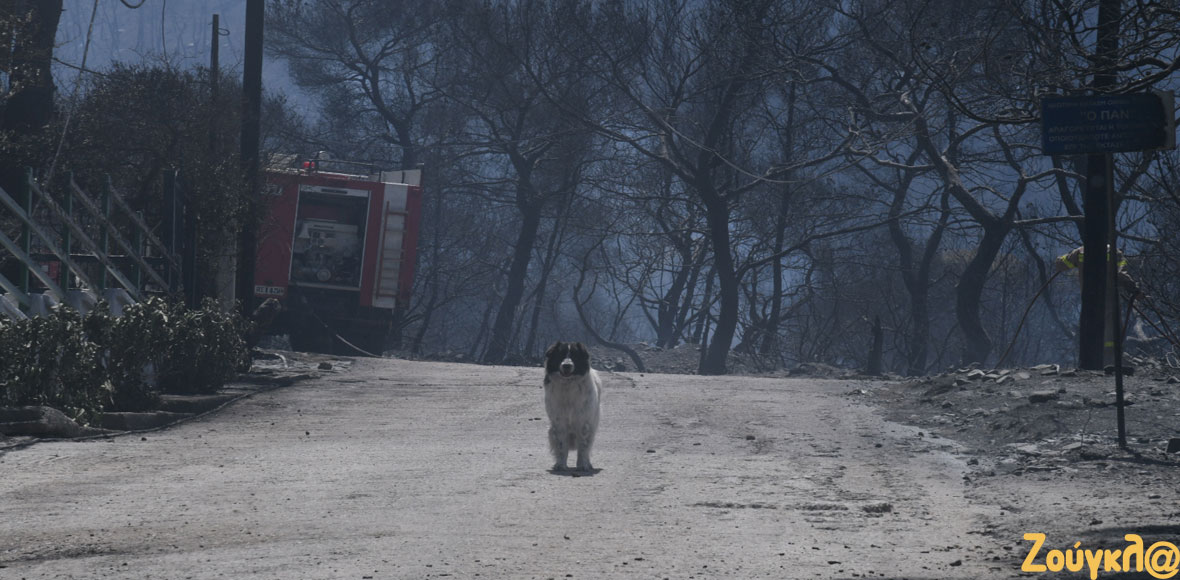Παράπλευρες απώλειες