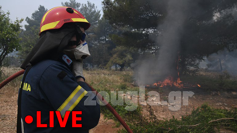 Δείτε Live εικόνα από τη φωτιά στο Αλεποχώρι