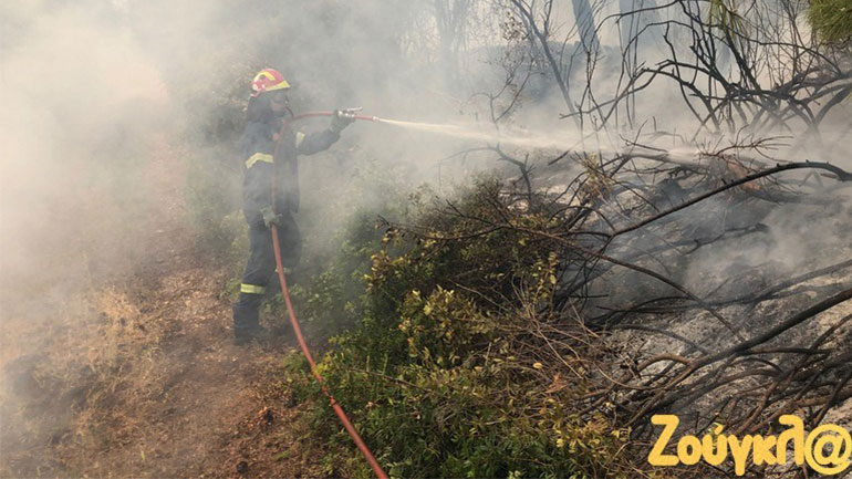 Έως τις Κυκλάδες και την Ικαρία ο καπνός από την πυρκαγιά στον Σχίνο