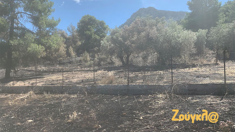 Από αυτό το οικόπεδο ξεκίνησε η φωτιά στην Κορινθία Από αυτό το οικόπεδο ξεκίνησε η φωτιά στην Κορινθία